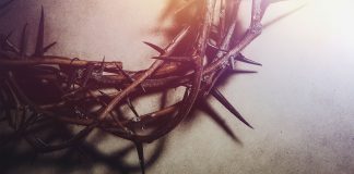 The greatest love sacrifice