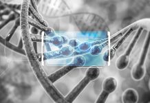 The sprouts of genomics personalised medicine