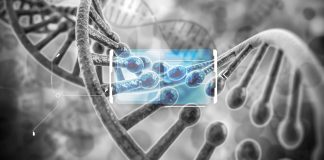 The sprouts of genomics personalised medicine