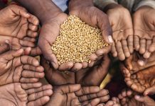 Mother Teresa, a little nun with high ideals mother teresa