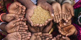 Mother Teresa, a little nun with high ideals mother teresa