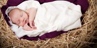 The nativity of Jesus, “the most beautiful story in the world” nativity