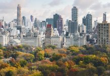 Metropolis alienation