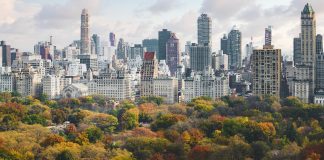 Metropolis alienation