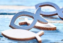 The Ecumenism Files IV: Ecumenism in recent times  Ecumenism