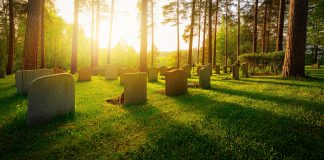 “Immortality of the Soul or Resurrection of the Dead?” | Book review immortality of the soul