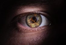 Dante’s imaginary translation of the torments of Hell Dante Alighieri's imaginary translation of the torments of Hell