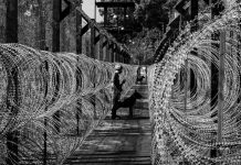 “You have to give up being human to endure and survive” | Life in the North Korean prison system "You have to give up being human to endure and survive" | Life in the North Korean prison system