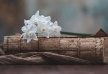 The Second Coming Files: A 2000-Year Inquiry | Part VI: Waiting for the return of Jesus in 19th century Europe and the United States The Second Coming Files: A 2000-Year Inquiry | Part VI: Waiting for the return of Jesus in 19th century Europe and the United States