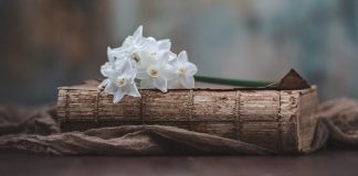 The Second Coming Files: A 2000-Year Inquiry | Part VI: Waiting for the return of Jesus in 19th century Europe and the United States The Second Coming Files: A 2000-Year Inquiry | Part VI: Waiting for the return of Jesus in 19th century Europe and the United States