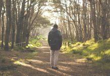 In search of balance In search of balance