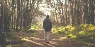 In search of balance In search of balance