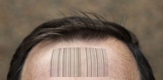 Anti-papism: realism or paranoia? (III) The idol and the mark of the “beast” Anti-papism: realism or paranoia? (III) The idol and the mark of the "beast"