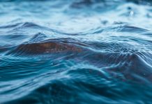 Waters of death, waters of life