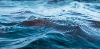 Waters of death, waters of life