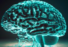 How to build a better brain How to Build a Better Brain