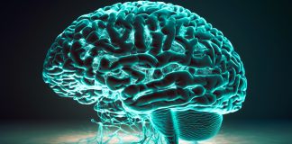 How to build a better brain How to Build a Better Brain