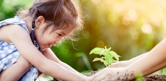 Having the courage to be a stepparent Having the courage to be a stepparent