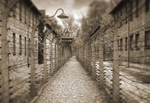 The theology of the cross and the “theology” of the coming of age The theology of the cross and the “theology” of the coming of age