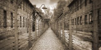 The theology of the cross and the “theology” of the coming of age The theology of the cross and the “theology” of the coming of age