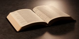 Interpreting Scripture: Bible Questions and Answers | Book Review Interpreting Scripture: Questions and Answers on the Bible | Book Review