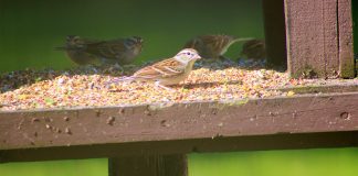 The God Who takes cares of all my needs The God Who Cares for All My Needs