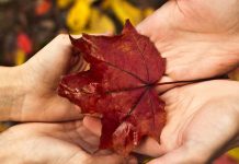 Love doesn’t give up, regardless of the prognosis Love doesn’t give up, regardless of the prognosis