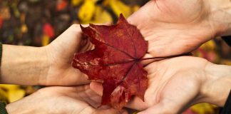 Love doesn’t give up, regardless of the prognosis Love doesn’t give up, regardless of the prognosis