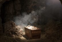 The manger, the sign of humility that elevates (us) The manger, the sign of humility that elevates (us)