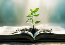 Who is educating your child? Who is educating your child?