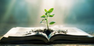 Who is educating your child? Who is educating your child?