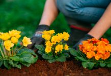 The greatness of an ordinary life The greatness of an ordinary life