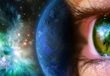 The big picture The big picture