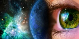 The big picture The big picture