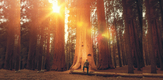 A guide to resurrecting New Year’s resolutions New Year's resolution resurrection guide