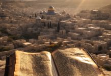 We are the writers of our own future | An overview of biblical prophecy We are the writers of our own future—an overview of biblical prophecy