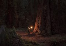 Believe and do not investigate? Short urban myth about using the Bible as blinkers