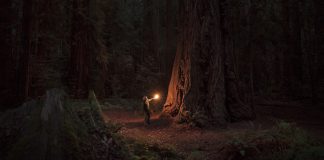 Believe and do not investigate? Short urban myth about using the Bible as blinkers