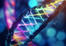 DNA: the language of chance, or of the Creator? DNA—the language of chance or of the Creator?