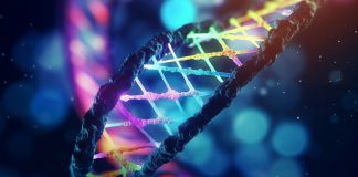 DNA: the language of chance, or of the Creator? DNA—the language of chance or of the Creator?