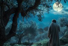 Gethsemane, the garden of the divine sighs