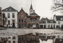 The tragic divorce The tragic divorce