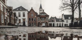 The tragic divorce The tragic divorce