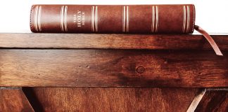 Let’s read Genesis with “new eyes” Let's read Genesis with "new eyes"