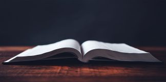 Immaculate preconception | Who really knows what about Christians? Immaculate preconception | Who really knows what about Christians?