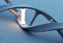 Non-functional DNA: the playground of evolution?