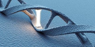 Non-functional DNA: the playground of evolution?