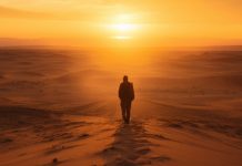 The meaning of life: between the sandbox and the constellations The meaning of life: between the sandbox and the constellations