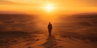 The meaning of life: between the sandbox and the constellations The meaning of life: between the sandbox and the constellations