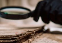 The paradox of independence: freedom at the cost of connection The paradox of independence: freedom at the cost of connection